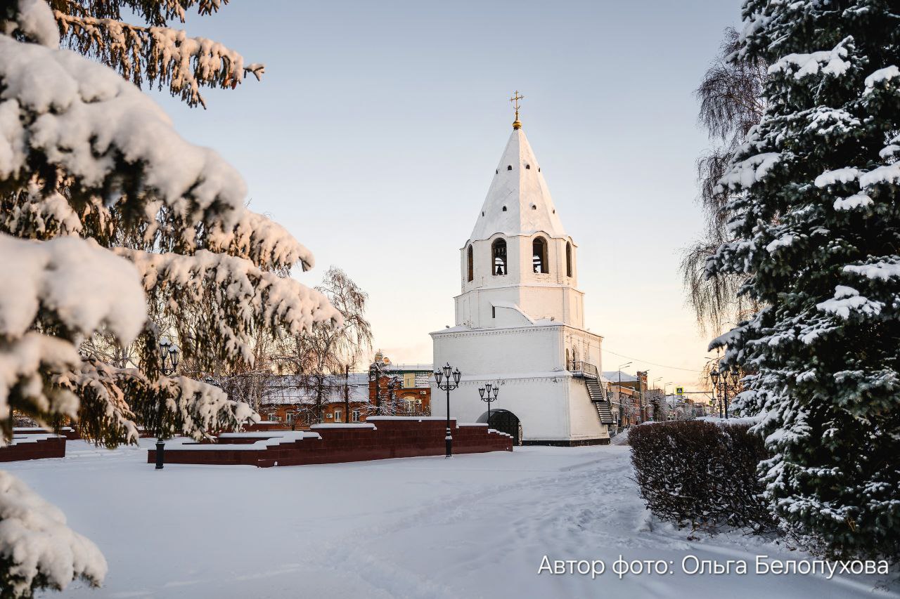 РОЖДЕСТВЕНСКАЯ СКАЗКА СЫЗРАНЬ + ЖИГУЛЁВСК + ЗАМОК ГАРИБАЛЬДИ 07.01.2026